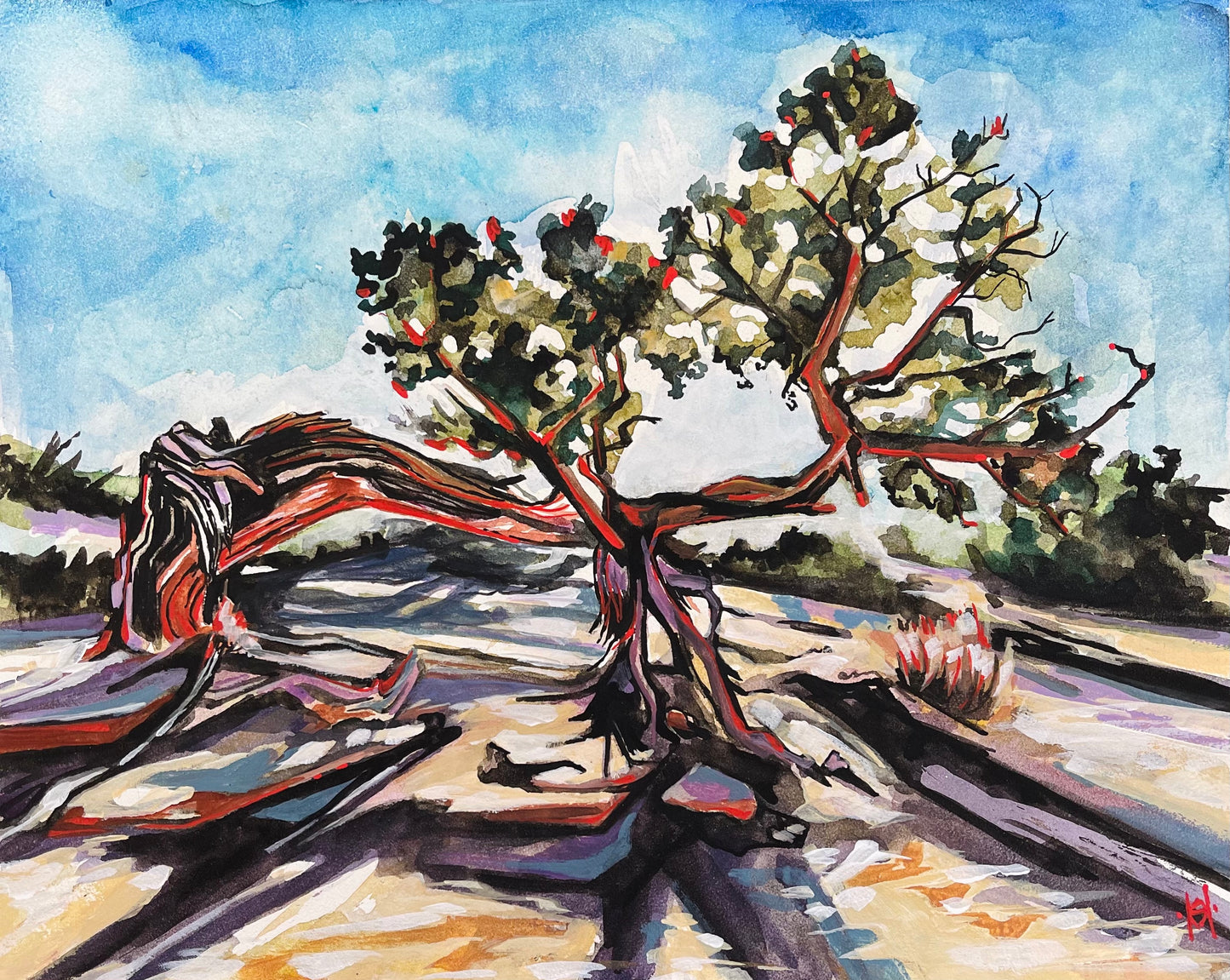 Tree near the Delicate Arch