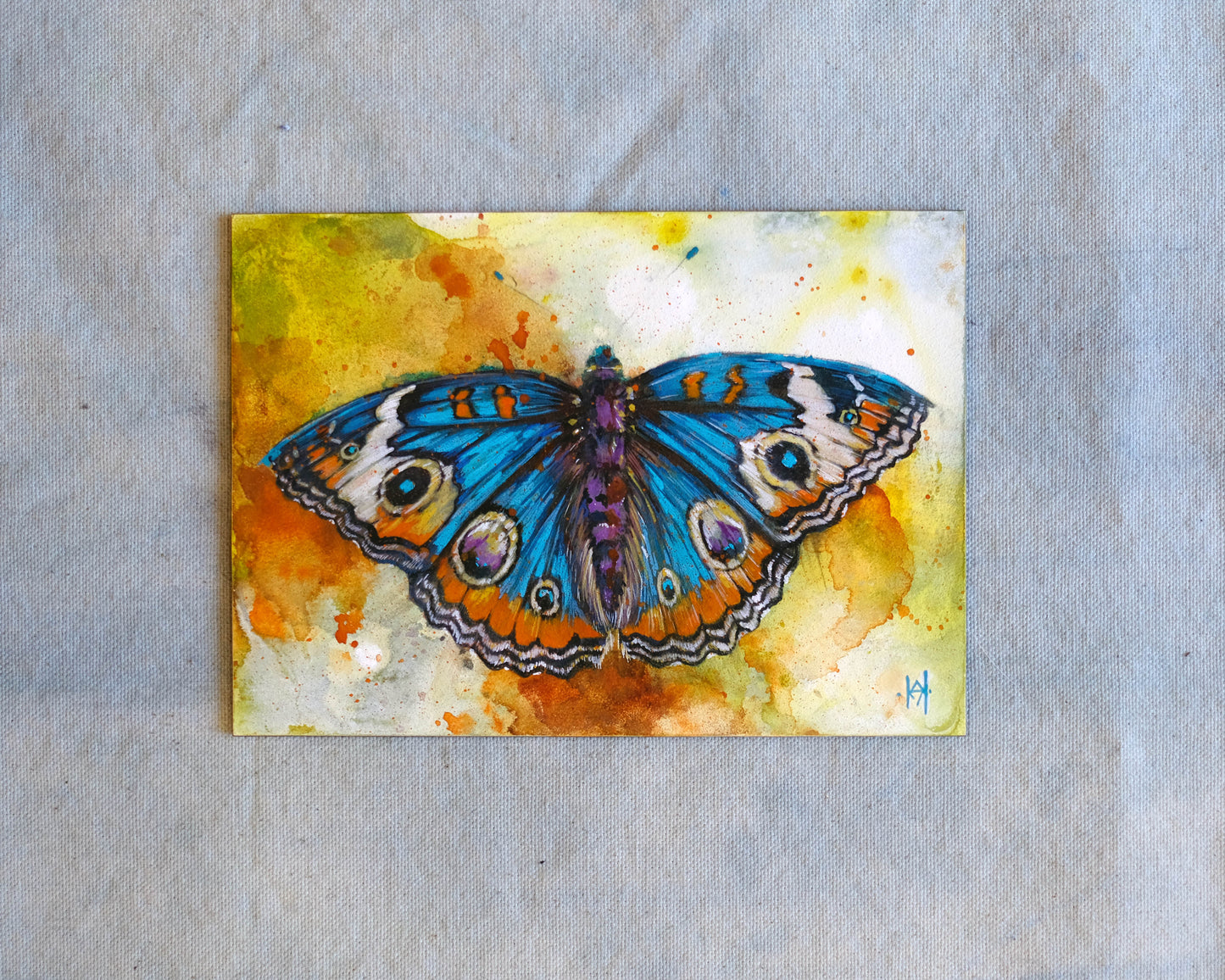 Blue Buckeye Butterfly