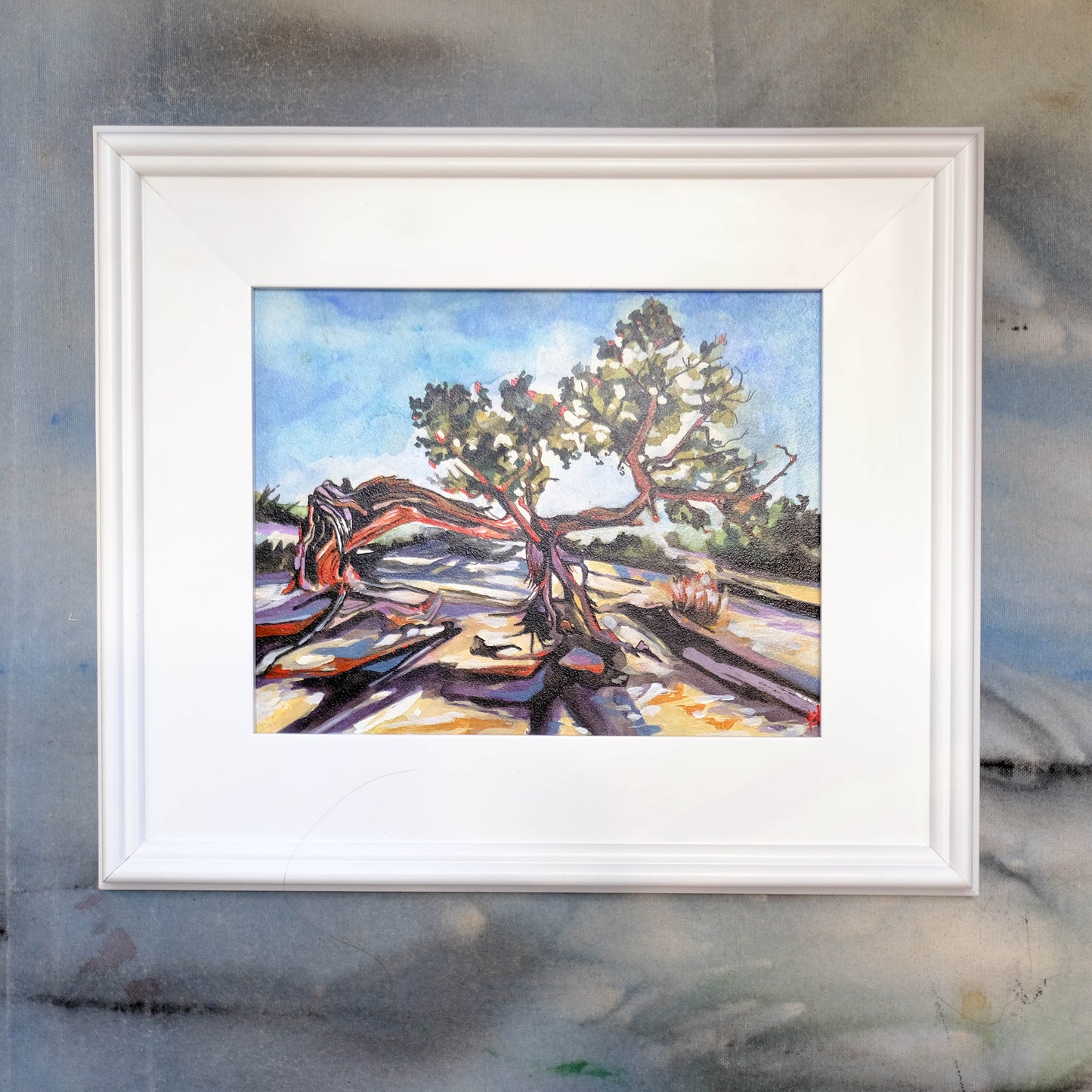 Tree near the Delicate Arch