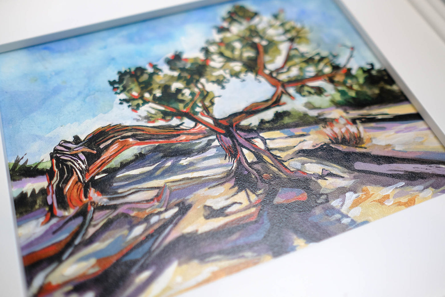 Tree near the Delicate Arch