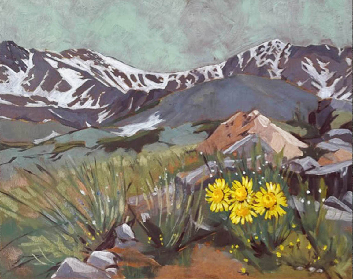 Grays and Torreys Peaks