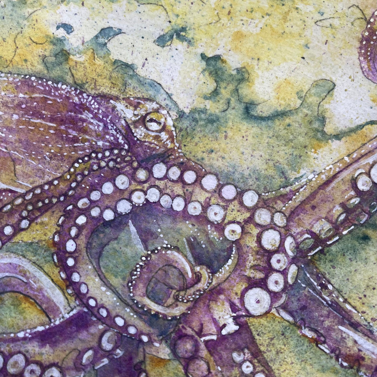 Octopus No 2