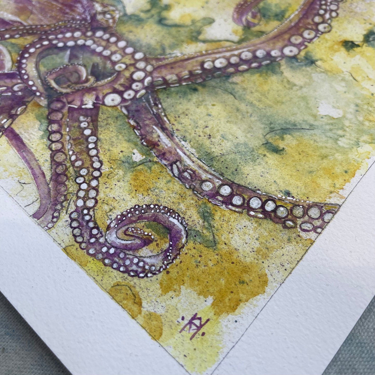Octopus No 2