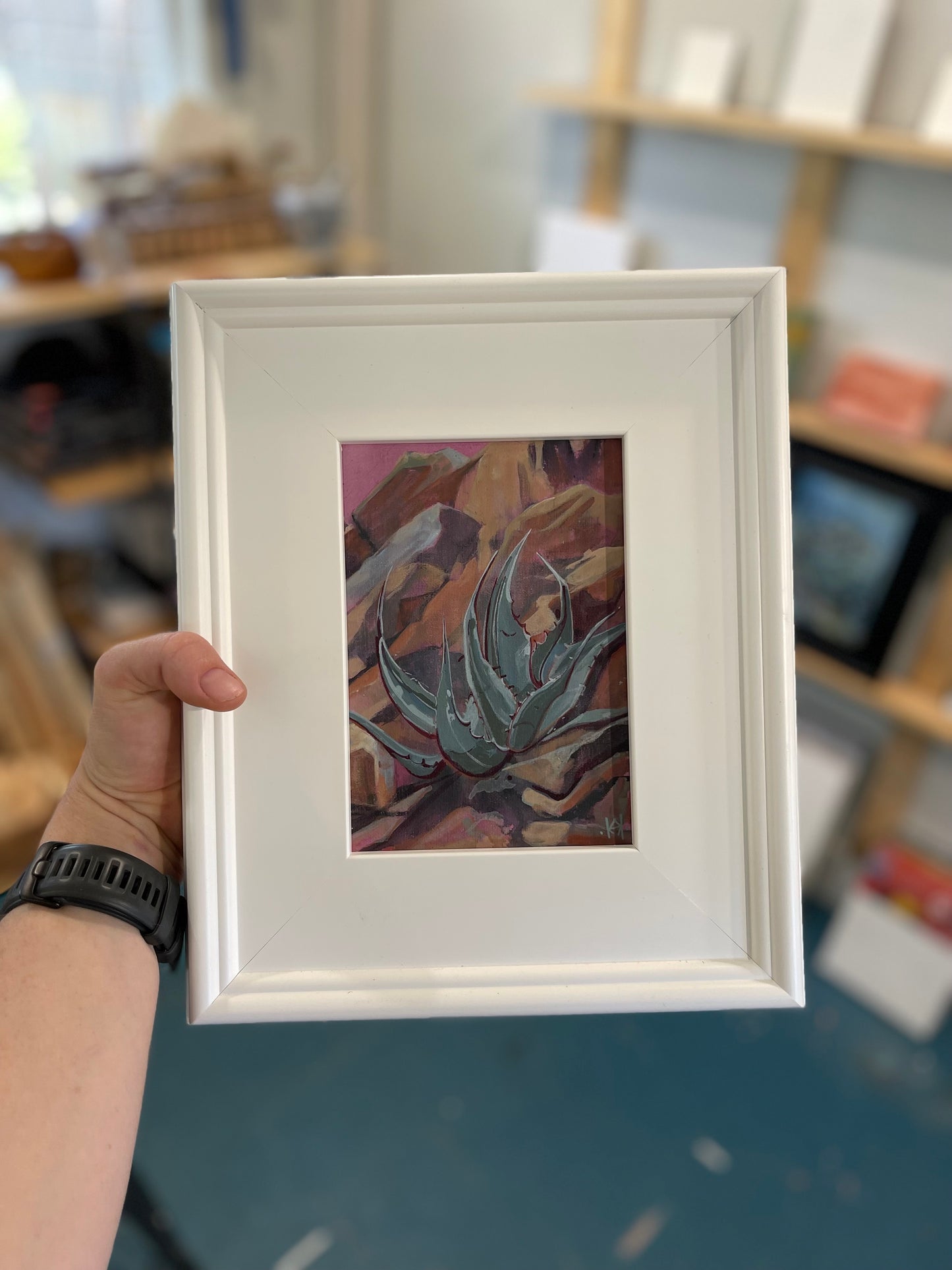 Succulent of Big Bend