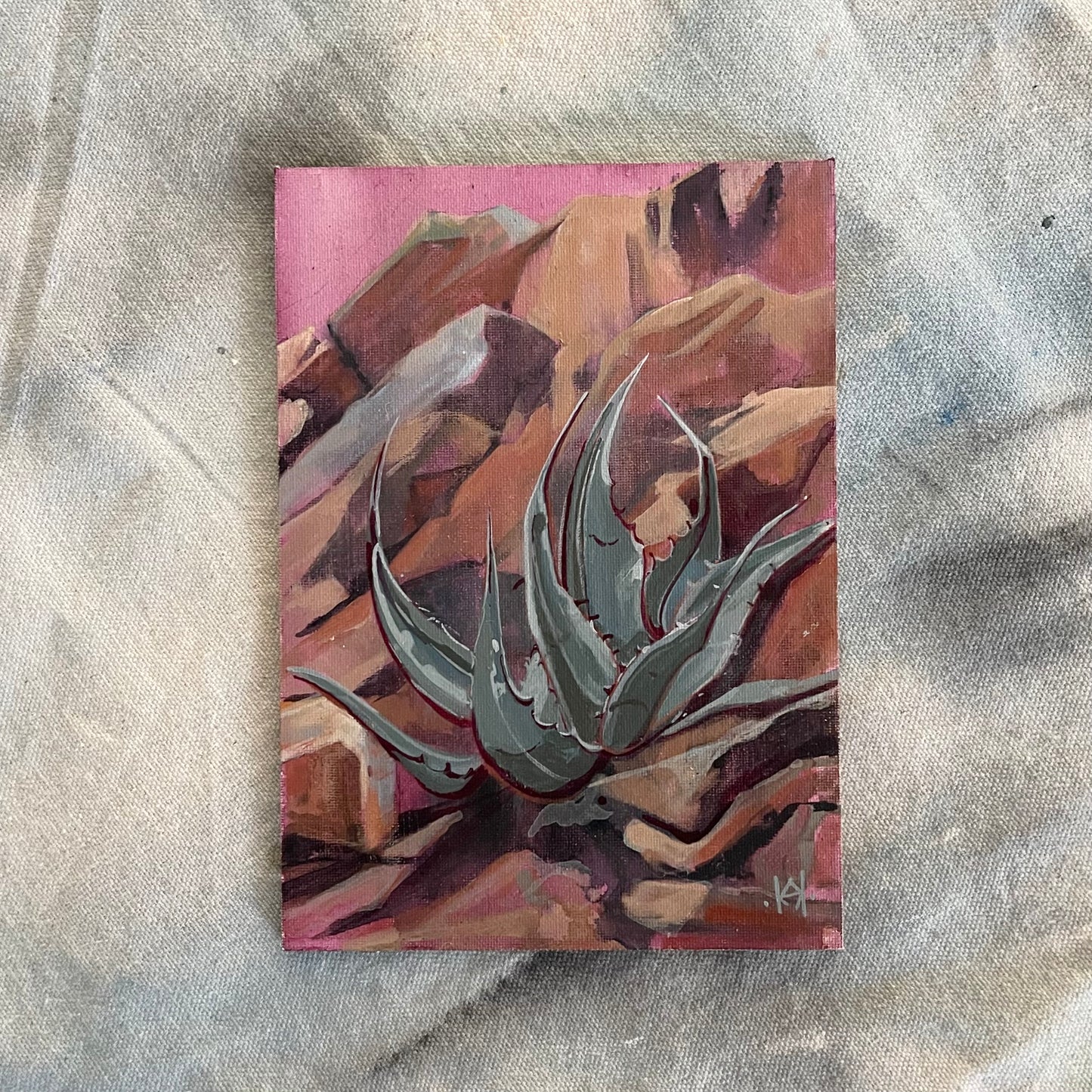 Succulent of Big Bend