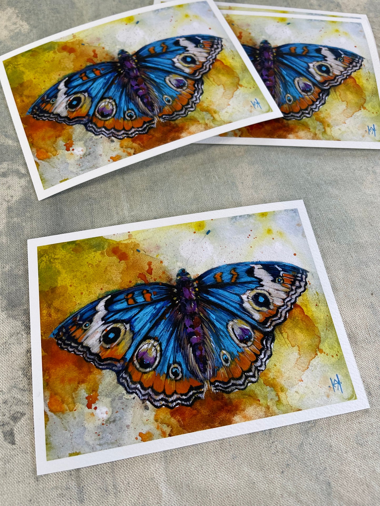 Blue Buckeye Butterfly - Signed and Numbered Fine Art Prints