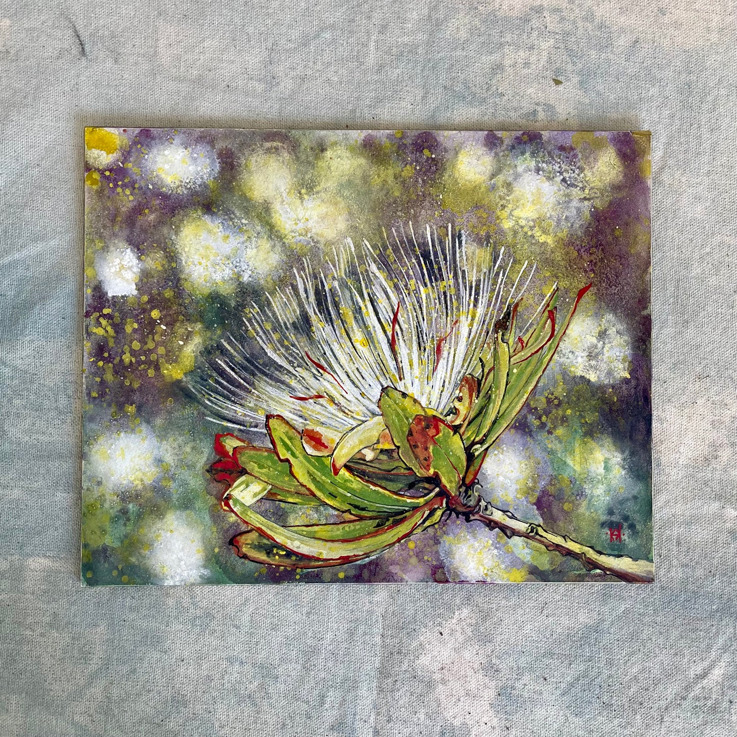 Protea Kilimandscharica