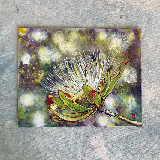 Protea Kilimandscharica