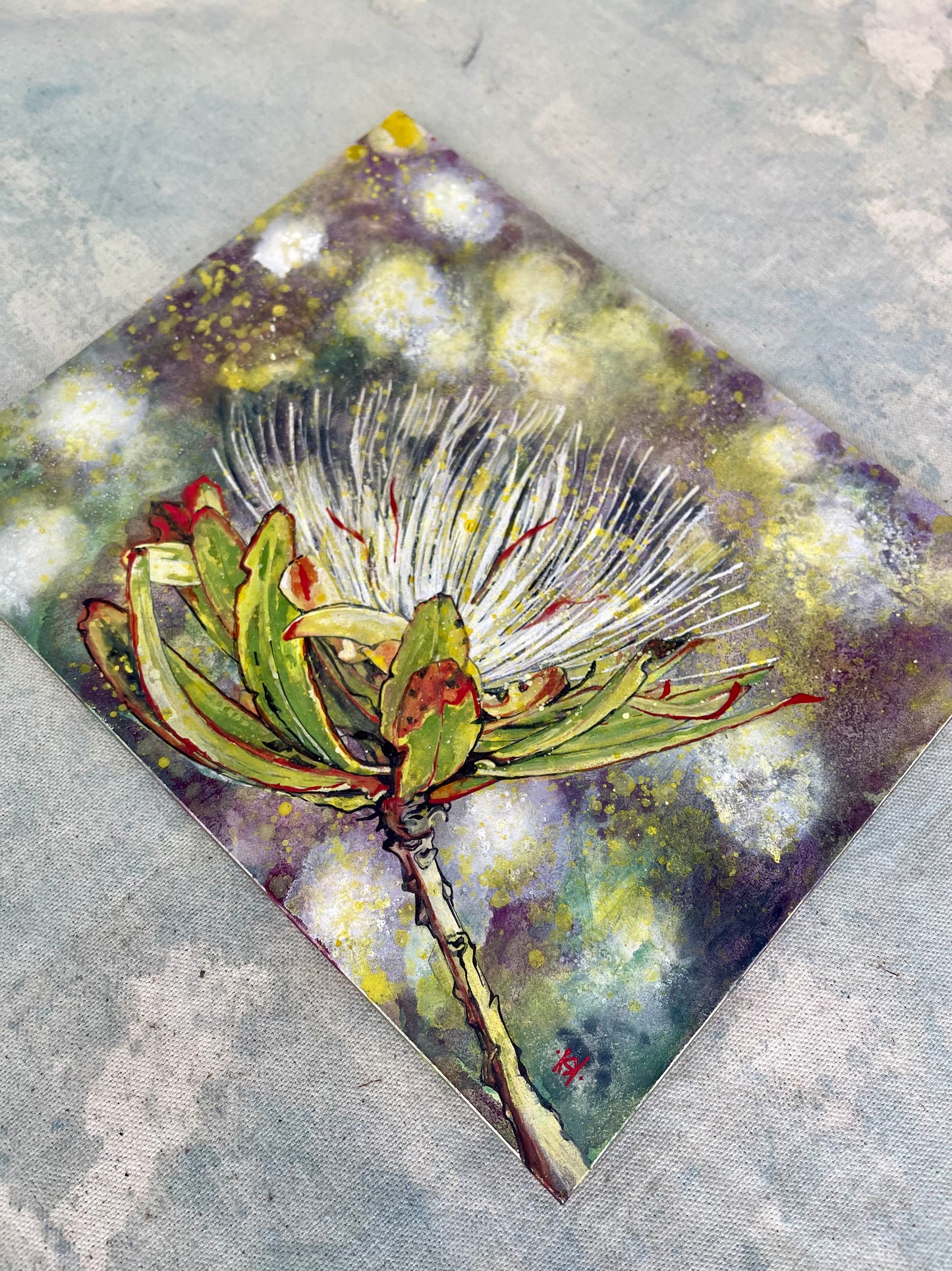 Protea Kilimandscharica