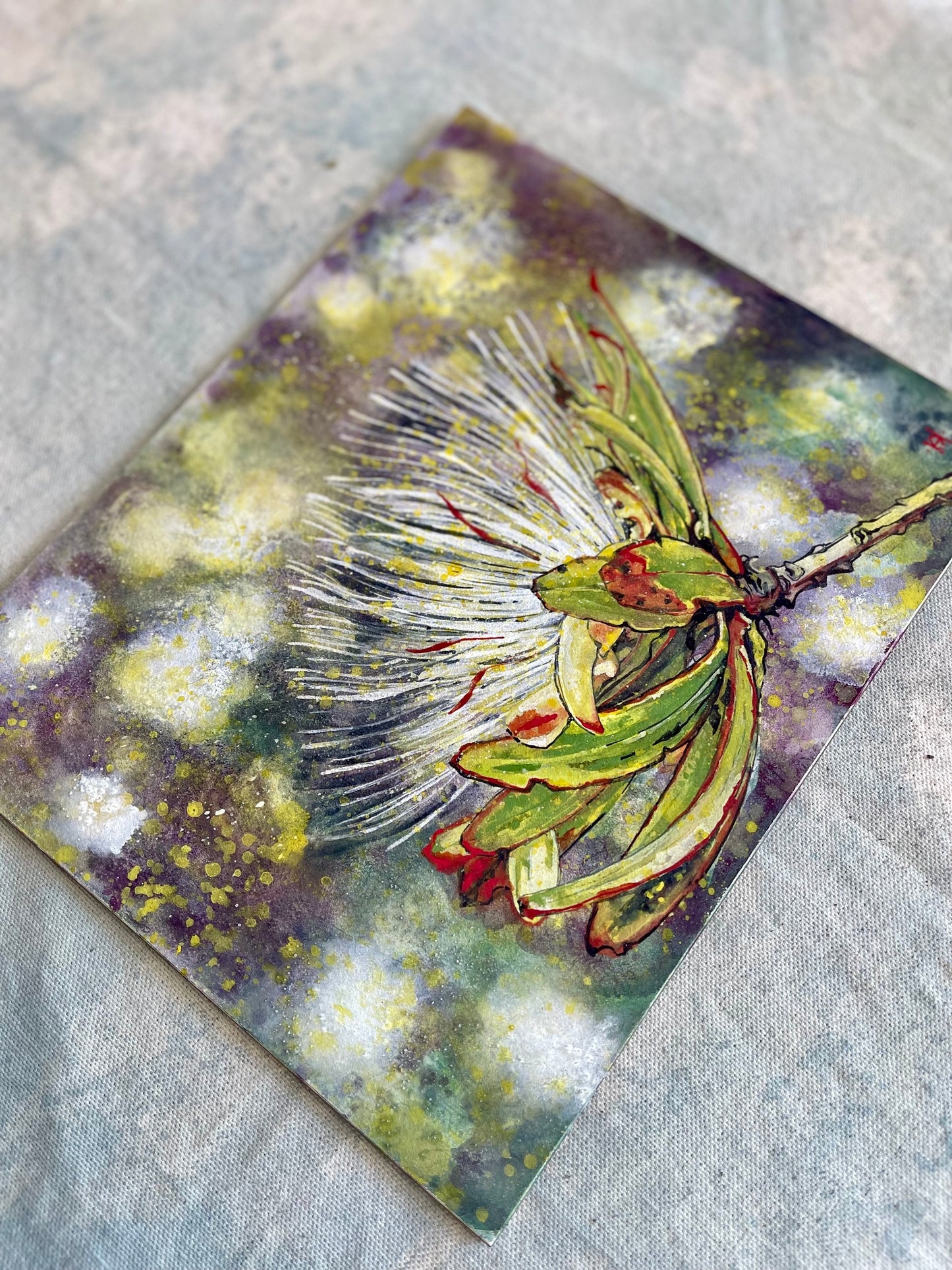 Protea Kilimandscharica