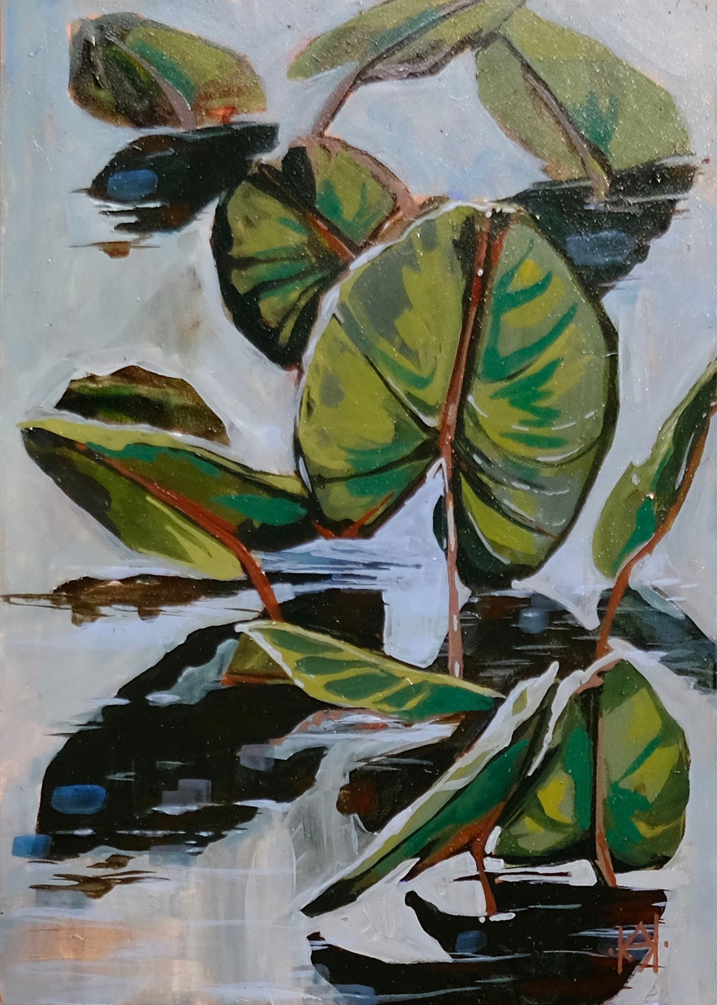 Lilly Pads of Virginia