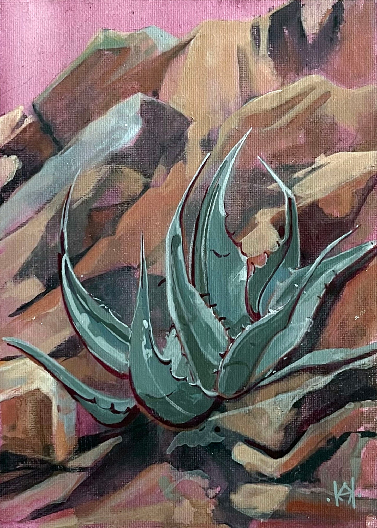 Succulent of Big Bend