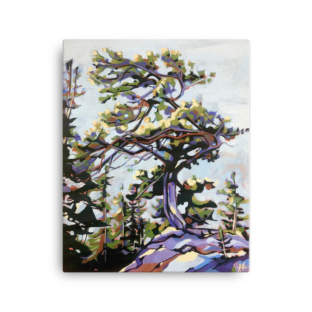 Tree of Jasper - 16x20 Canvas Print