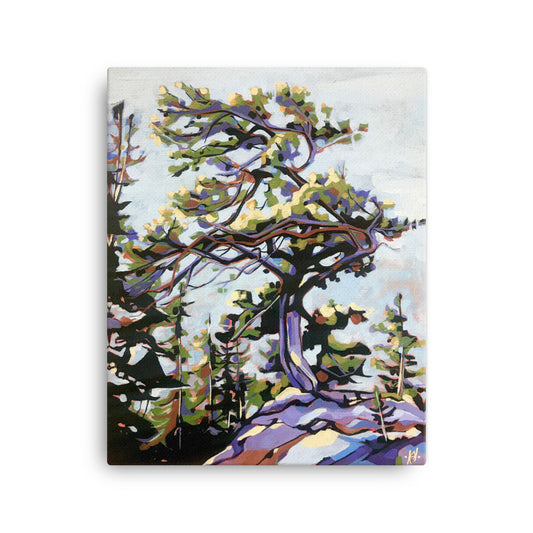 Tree of Jasper - 16x20 Canvas Print