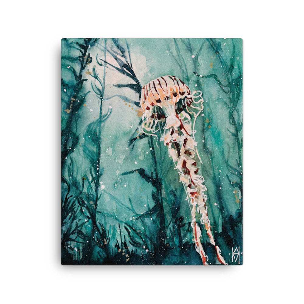 Compass Jelly - 16x20 Canvas Print