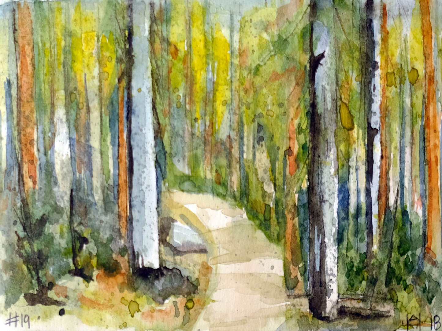 No 19. Pike National Forest