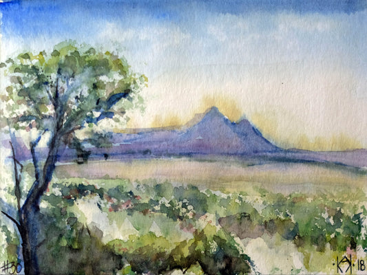 No 30. Cortez Colorado