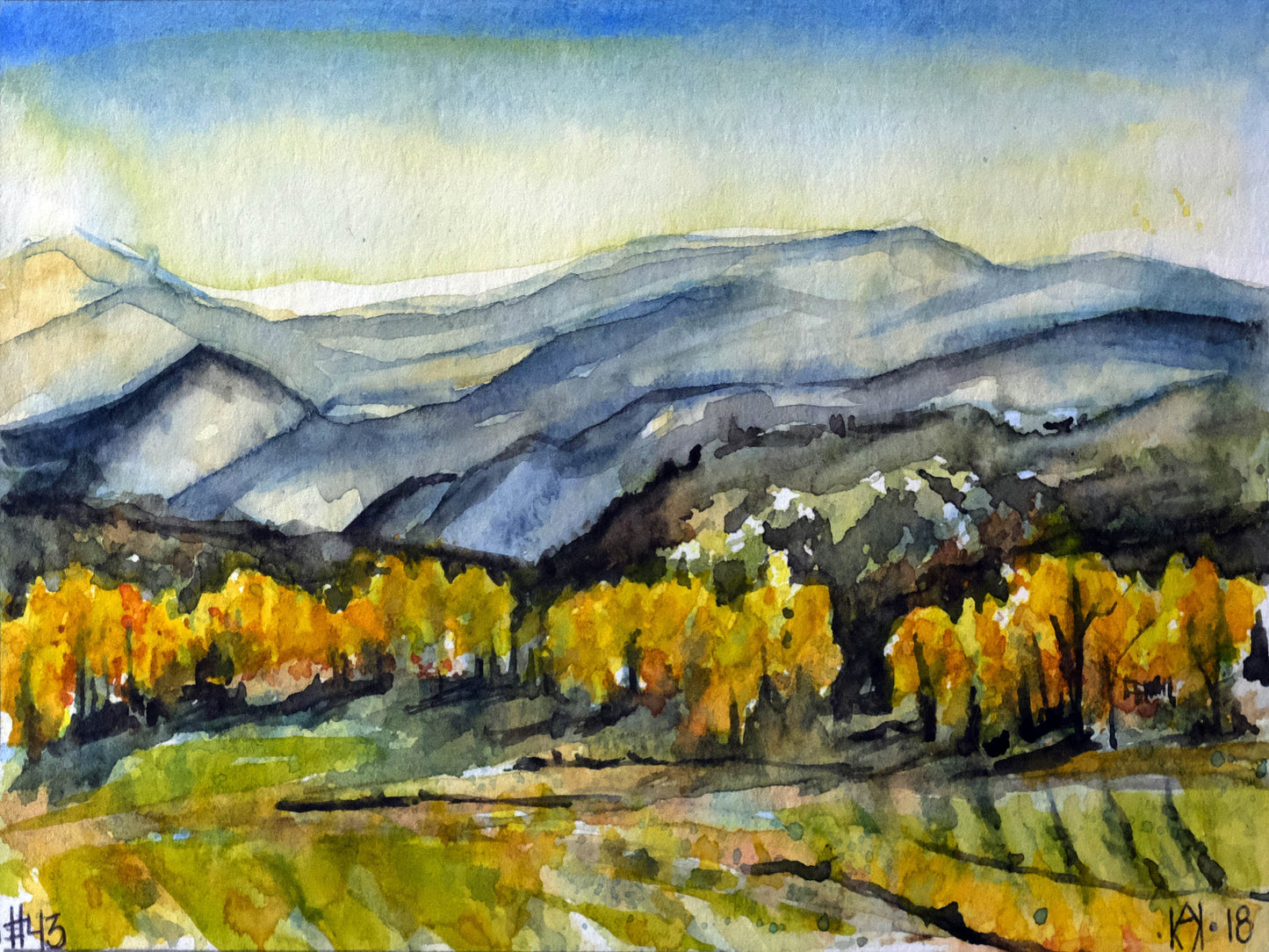 No 43. Toponas Colorado