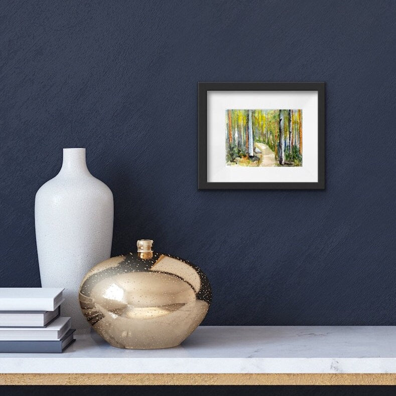 No 19. Pike National Forest