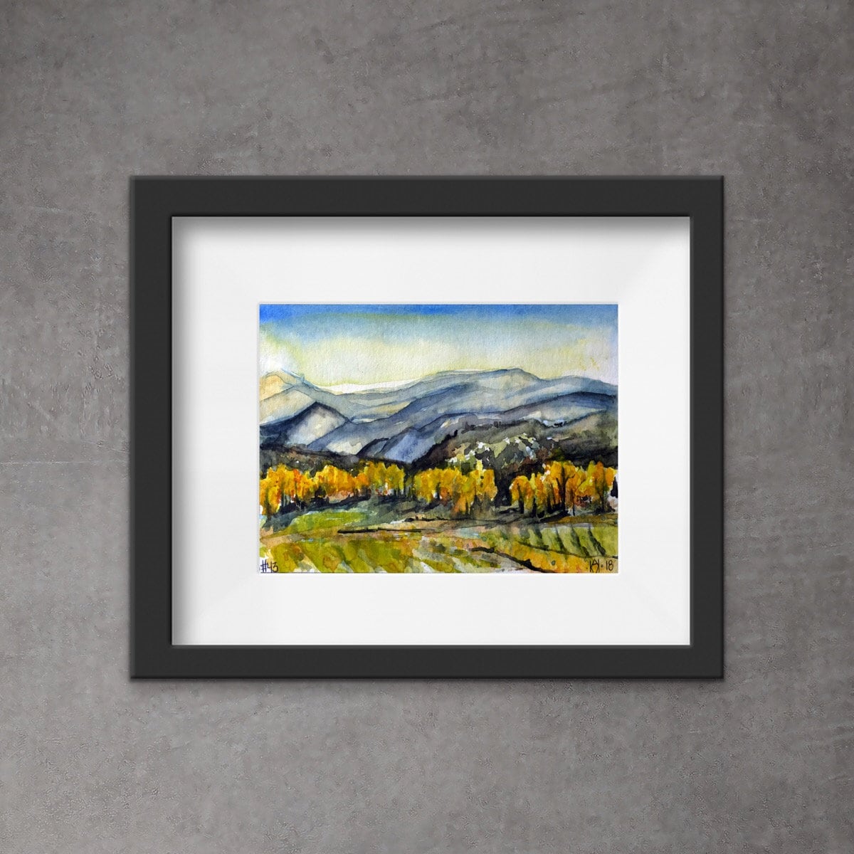 No 43. Toponas Colorado