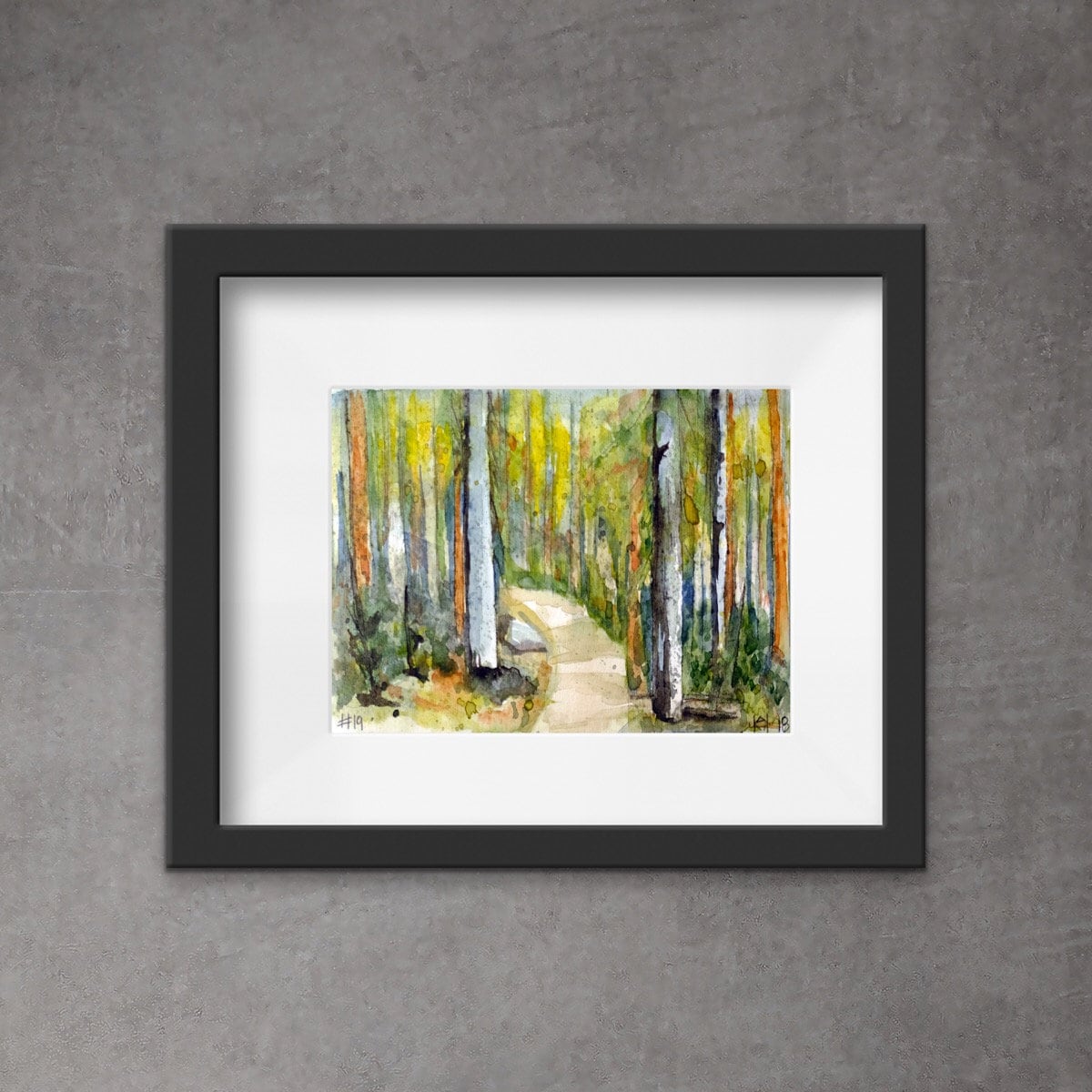 No 19. Pike National Forest