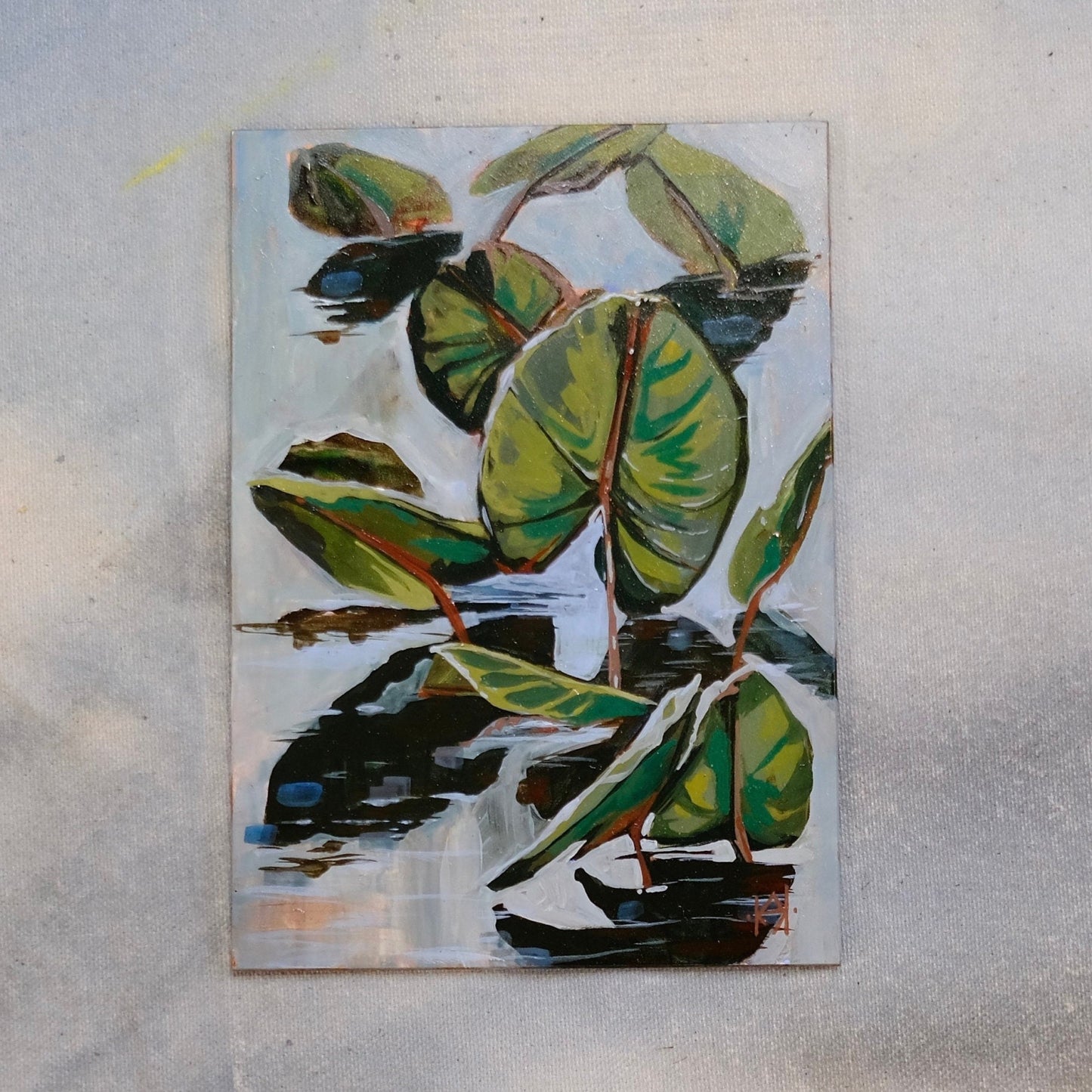 Lilly Pads of Virginia