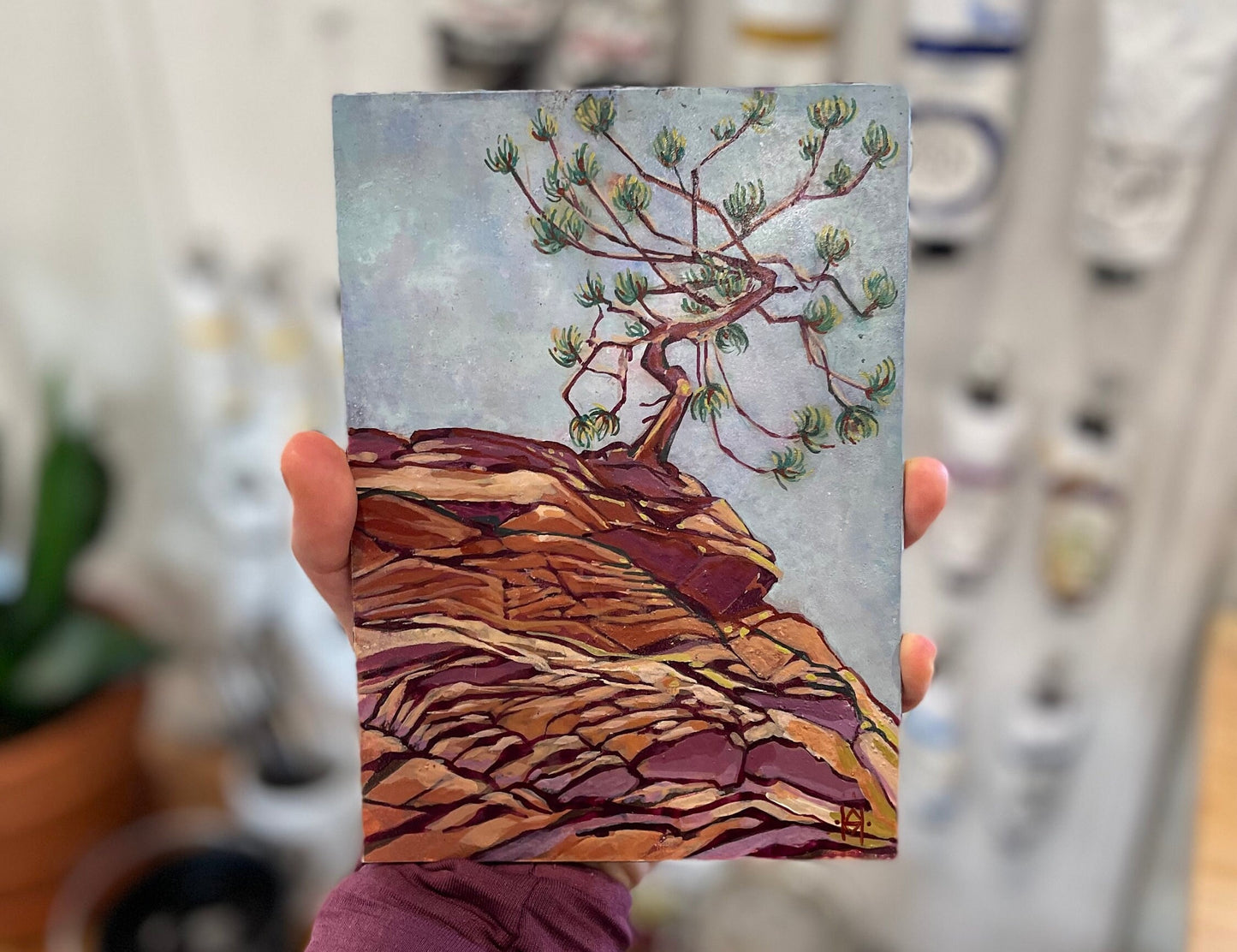 Tree from the Red Rocks