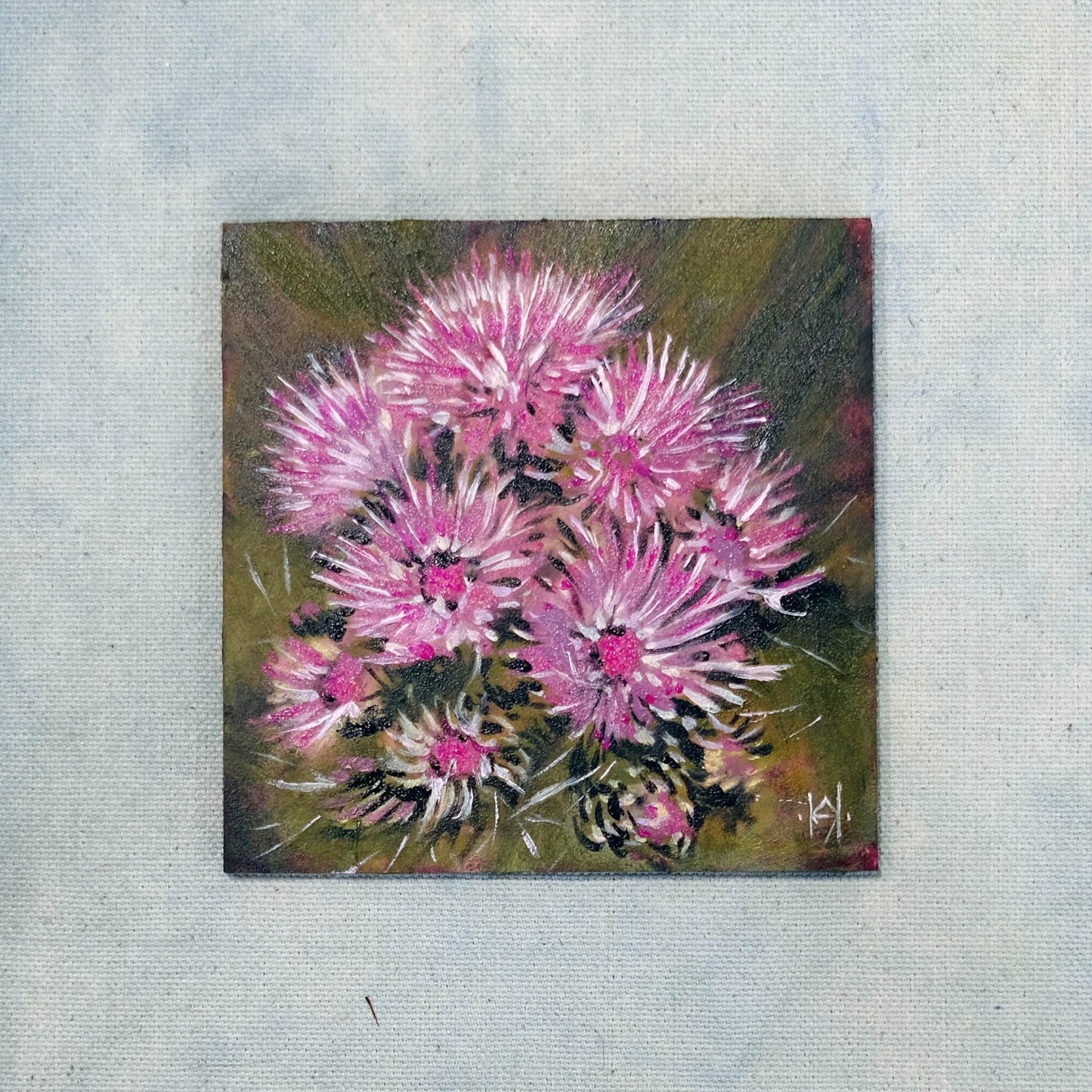 African Mountain Thistle