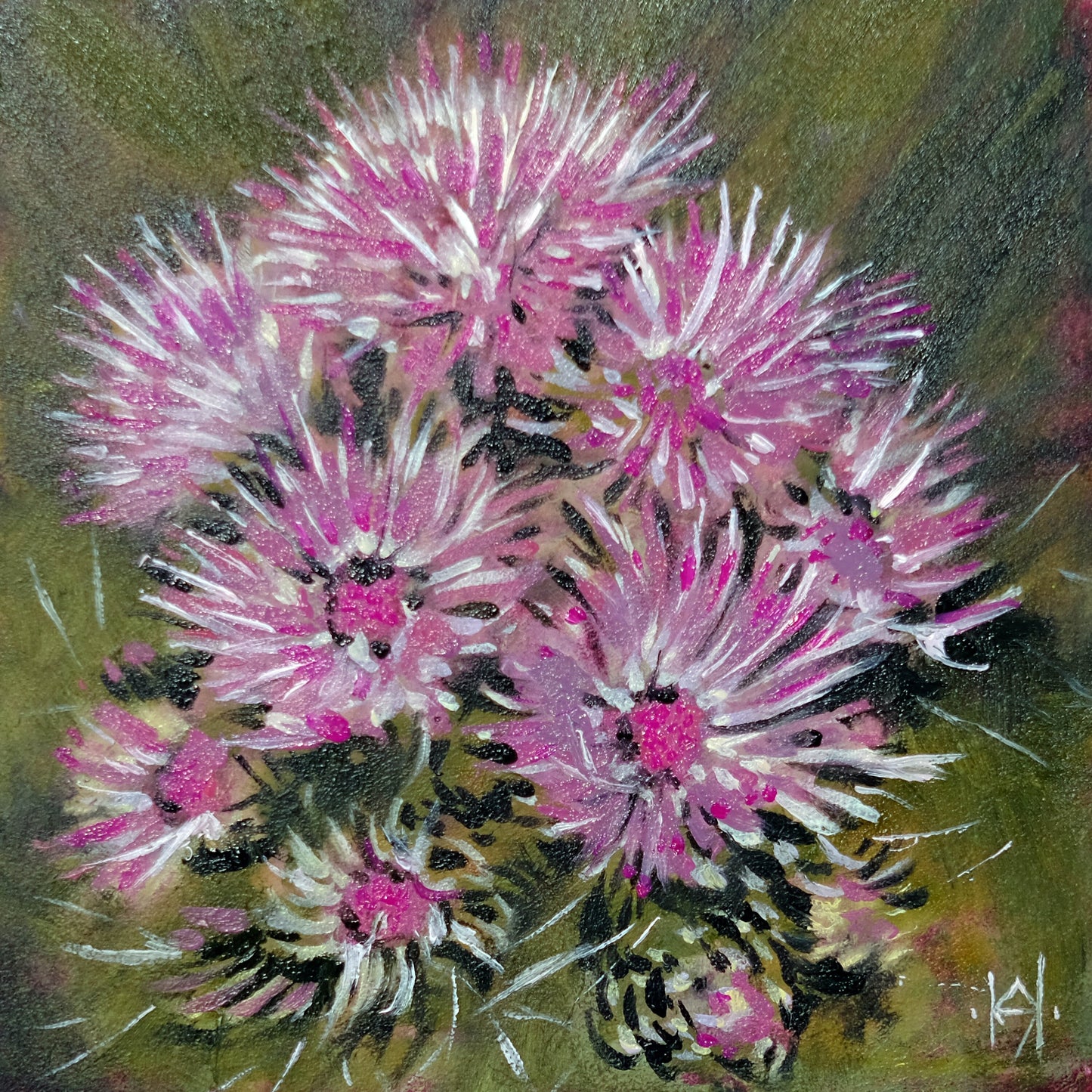 African Mountain Thistle