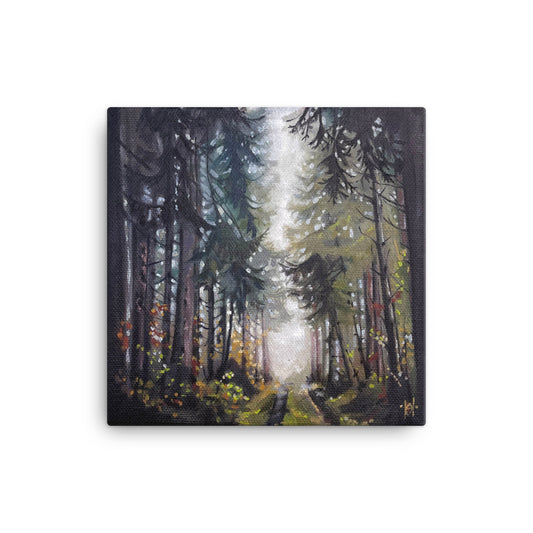 Misty Morning in the Woods - 12x12 Canvas Print