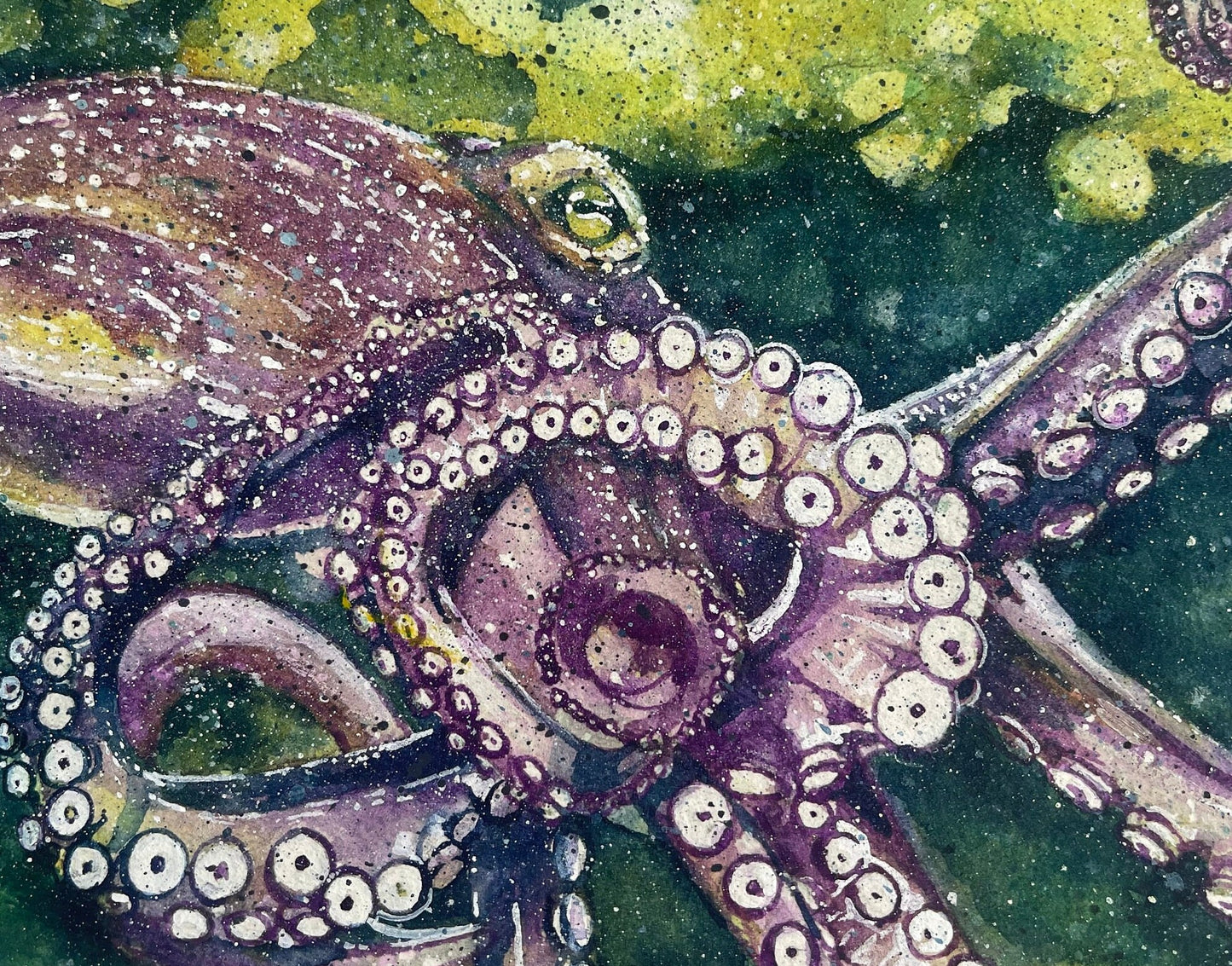 Octopus Teach