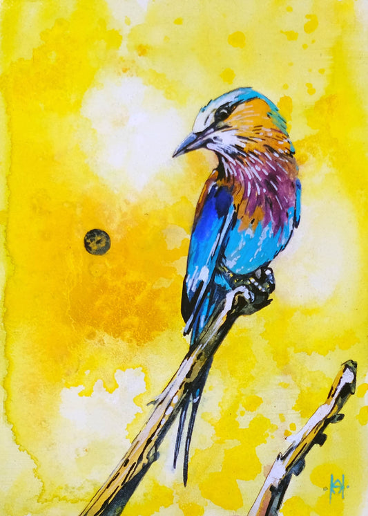 Violet Breasted Roller, Original 5x7 Watercolor on Panel